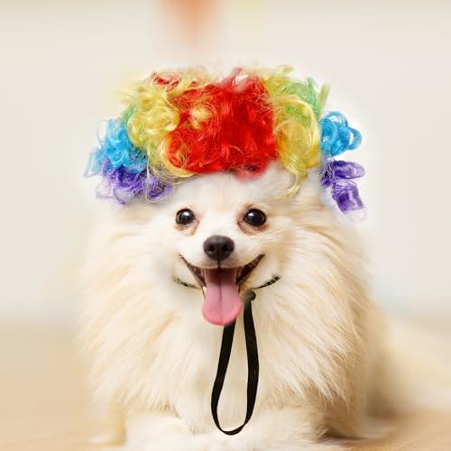1pcs Funny Pets Wigs for Dog, Funny Rainbow Curly Dog Wig Adjustable Pet Wigs for Halloween Pet Cat Decoration Accessories for Halloween, Christmas, Parties Cosplay - Image 4