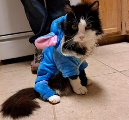 Pet Costume Dog Hoodies Pet Xmas Pajamas Outfit, Pet Coat for Small Medium Large Dogs Cats Winter Cartoon Coat for Party Halloween Christmas - Image 6