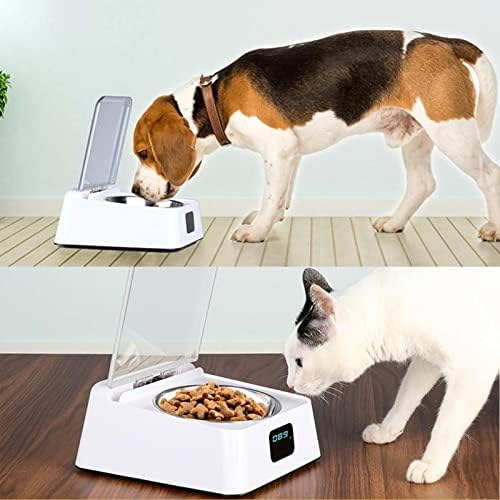 Automatic Pet Feeder for Cats, Induction Lid Opening Rechargeable Dog Cat Feeding Bowl, Smart Dog Cat Bowl Pet Food Dispenser for Small Medium Dog Cat