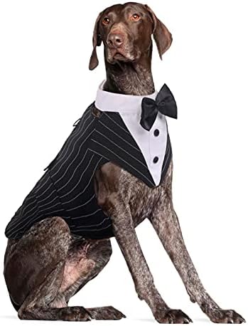 Dog Tuxedo for Large Dogs, Dog Suit and Bandana Set, Dog Costume Outfit by DoraBridal