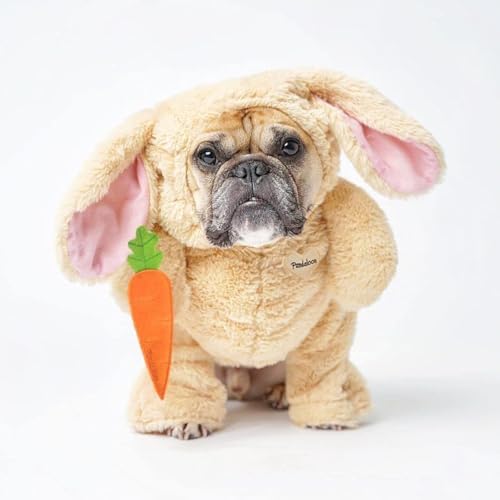 Pandaloon Dog Halloween Costume - As Seen on Shark Tank - Patented - Funny Costume with Arms for Small and Medium Dogs and Cats (Bunny, Size 4(20-23 in Height at TOP of Head,Girth<27 in)) by Pandaloon