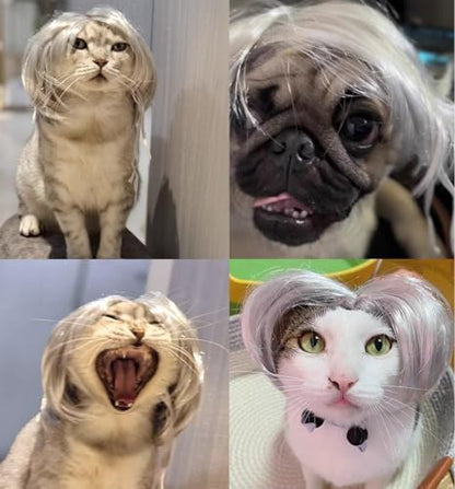 Straight Sliver Dog Wigs for Large Dogs Wigs for Dog Wig Pet Costume - Image 3