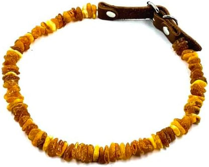 Baltic Amber Dog & Cat Collar - Adjustable Leather Strap with Raw Knotted Amber Beads (25-30cm)