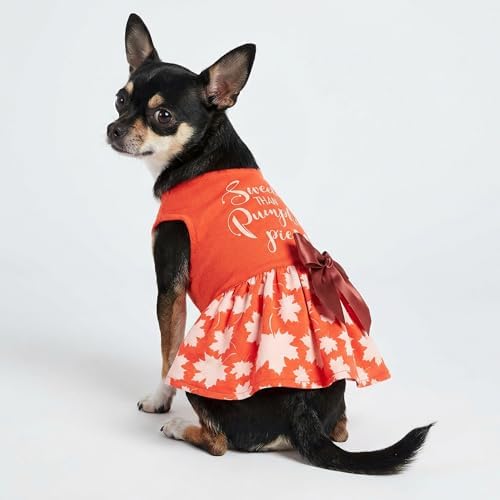 Fitwarm Thanksgiving Sweeter Than Pumpkin Pie Dog Dress 100% Cotton Puppy Costumes Pet Clothes Holiday Girl One-Piece Doggy Outfits Tank Top Vest Dresses Cat Apparel Orange X-Small - Image 3