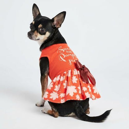 Fitwarm Thanksgiving Sweeter Than Pumpkin Pie Dog Dress 100% Cotton Puppy Costumes Pet Clothes Holiday Girl One-Piece Doggy Outfits Tank Top Vest Dresses Cat Apparel Orange X-Small - Image 3