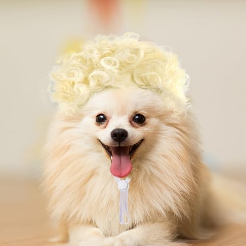 Funny Pets Wigs for Dog, Blonde Curly Adjustable Pet Wig for Dogs, Halloween Pet Costume Accessories for Christmas, Parties, Festivals Cosplay, Gold, Fits 12-24 Inches Head Circumference - Image 5