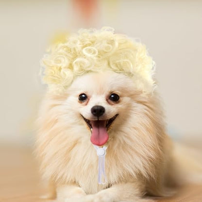 Funny Pets Wigs for Dog, Blonde Curly Adjustable Pet Wig for Dogs, Halloween Pet Costume Accessories for Christmas, Parties, Festivals Cosplay, Gold, Fits 12-24 Inches Head Circumference - Image 5