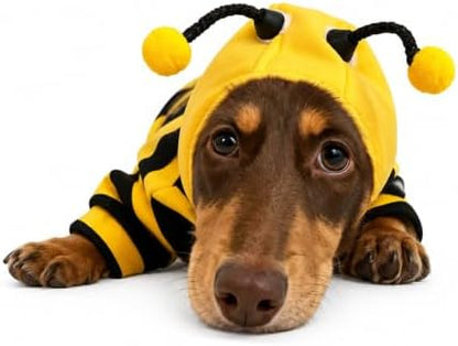 Halloween Bee Costume Apparel Outfits for Small Dogs and Cats (X-Large) by ISMARTEN