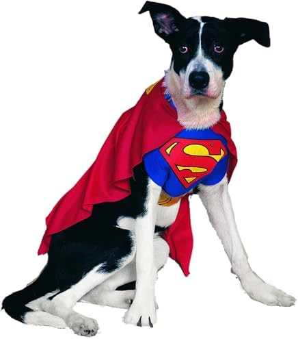 DC Comics Superheroes: Superman Pet Costume for For Dogs or Cats by Rubies, Large - Image 2