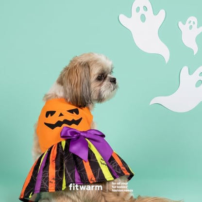 Fitwarm Halloween Pumpkin Dog Dress, Funny Dog Halloween Costumes, Doggy Clothes for Small Dogs Girl, Pet Apparel, Orange, Black, Purple, Medium - Image 4