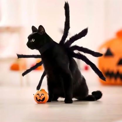 Spider Pet Costume Adjustable Halloween Cat Small Dog Cosplay - Image 7