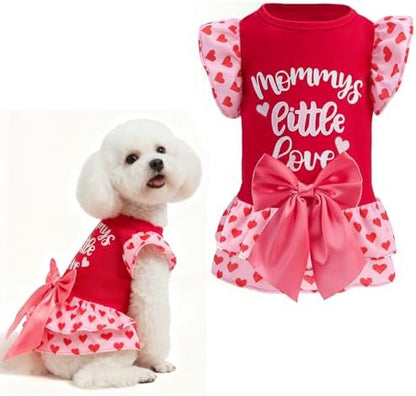 EXPAWLORER Valentine's Day Dog Dress for Small Dogs,Puppy Costumes Pet Clothes Holiday Girl Dogs Shirt with Heart Themed, Party Dog Vest Dresses Cat Apparel Sweater Warm Skirt by EXPAWLORER