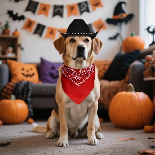 choyaxo Halloween Costumes for Dogs Cat Pet Cowboy Costume Cowboy Hat with Bandana Set for Halloween, Christmas, Holiday, Party, Cosplay (Black, Large) - Image 5