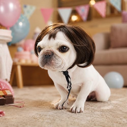 Dog Wigs for Large Dogs Wigs for Dog Wig Pet Costume Black Brown Straight - Image 3