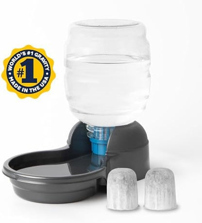 Petmate Replendish Automatic Dog Water Dispenser, 1 Gallon, 2 Filters