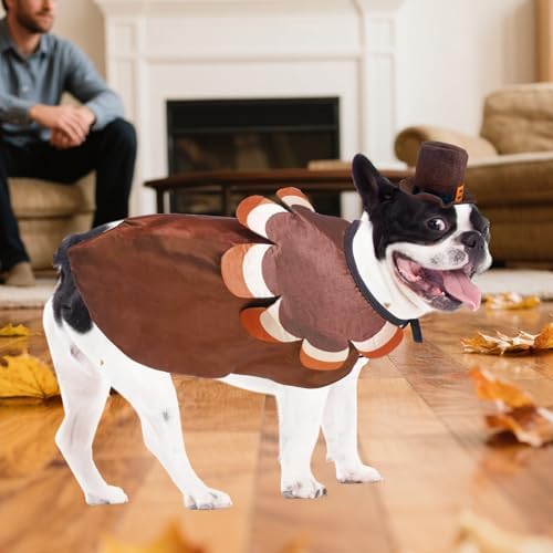 KOOLTAIL Dog Thanksgiving Costume, Thanksgiving Turkey Cape and Hat Set for Small Medium Large Dogs Cats Puppy, Funny Dog Witch Clothes Cosplay Dress Wizard Outfit Mantle Apparel for Holiday Party L - Image 7