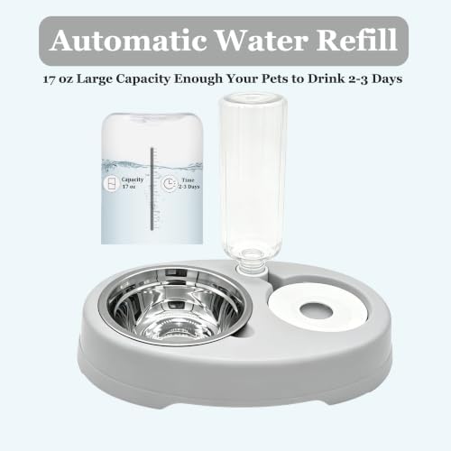 Double Dog Bowls, Cat Food & Water Bowl Set with Water Dispenser