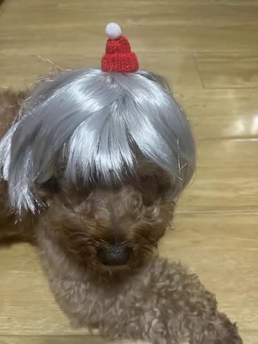 Straight Sliver Dog Wigs for Large Dogs Wigs for Dog Wig Pet Costume - Image 5