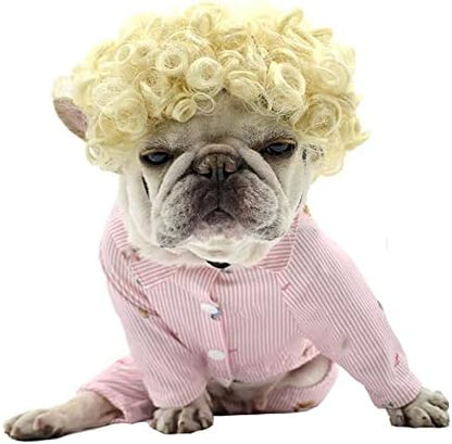 Funny Blonde Curly Dog Wig, Cat Cosplay Wig, Pet Wigs for Halloween, Christmas, Parties, Festivals, Dog Wigs for Small Medium and Large Dogs by Unknown
