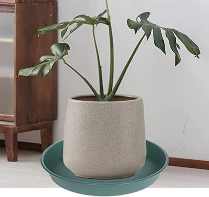 6 Pack of 12 inch Plant Saucer Bird Bath Bowl, Heavy Duty Plastic Plant Saucer 12 inch Round, Durable Plant Tray for Pots, Plant Saucers for Indoors, Plant Trays for Planter (12", Green)