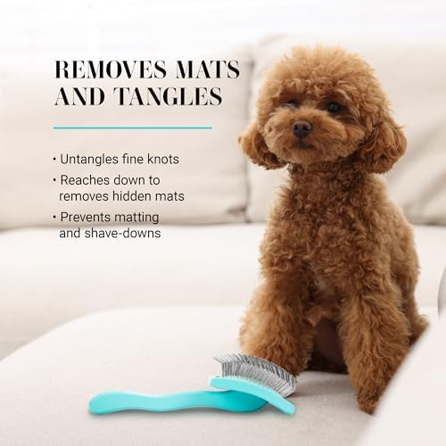 Chris Christensen Big G Dog Slicker Brush for Dogs (Goldendoodles, Labradoodles, Poodles), Groom Like a Professional, Fluff Detangle Style, Saves Time Energy, Teal, Medium - Image 5