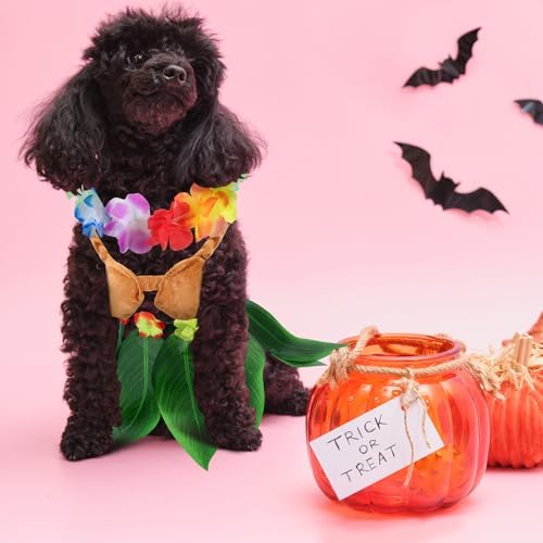 Huhumy 3 Pcs Halloween Dog Hawaiian Luau Costume for Small Medium Dog Puppy - Image 3
