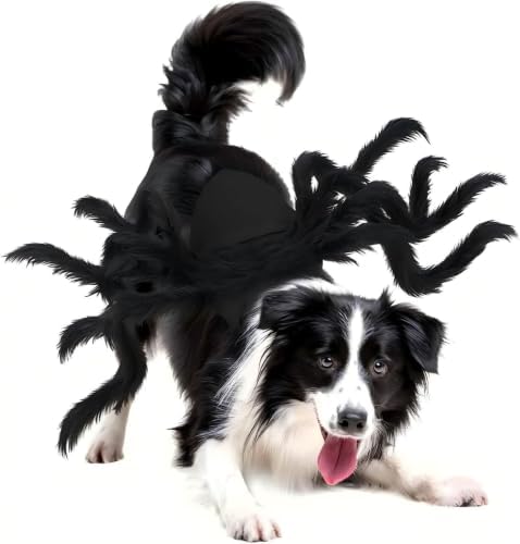 Spider Pet Costume Adjustable Halloween Cat Small Dog Cosplay - Image 6