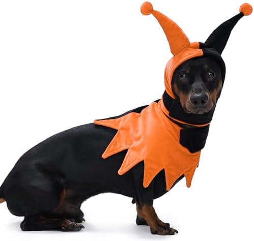 Lelepet Dog Halloween Costume with Hat & Cloak Funny Halloween Pet Outfit by LeLePet