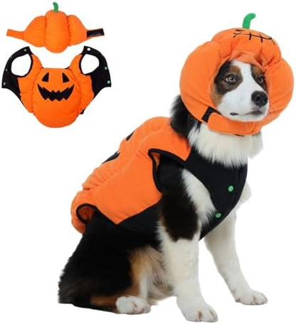 FUAMEY Dog Pumpkin Costume, Pet Halloween Costumes Coat Hat Set by FUAMEY
