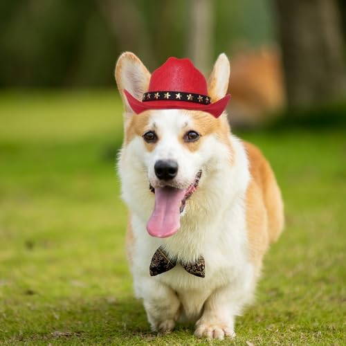 choyaxo Pet Cowboy Costume Cosplay Cap Halloween Costumes for Dogs Cat Pet Party Decoration Mini Cowboy Hat (Red, Small) - Image 6