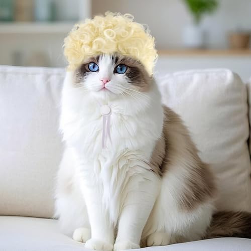 Funny Pets Wigs for Dog, Blonde Curly Adjustable Pet Wig for Dogs, Halloween Pet Costume Accessories for Christmas, Parties, Festivals Cosplay, Gold, Fits 12-24 Inches Head Circumference - Image 6