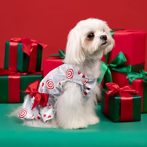 Fitwarm Christmas Candy Canes Dog Dress, Cute Dog Christmas Outfit, Doggy Clothes for Small Dogs Girl, Pet Apparel, Silver, Red, White, Medium - Image 4