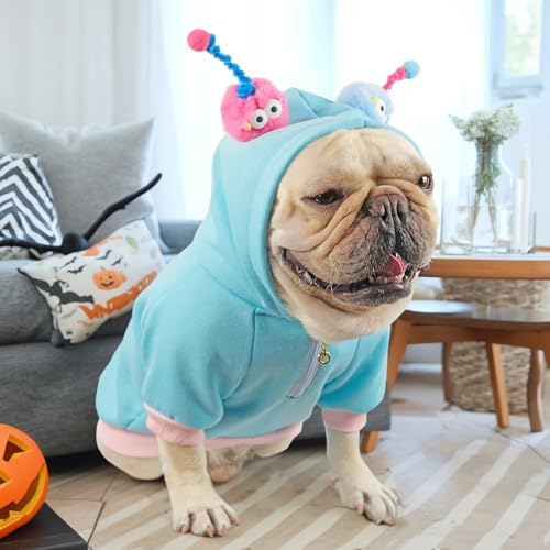 Funny Halloween Dog Costume French Bulldog Sweater - Image 5
