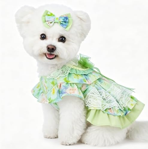 Spring Dog Dress, Floral Princess Dog Dress, Multi-Layer Ruffle Skirt with Soft Mesh & Lace Fabric, Girl Dog Clothes for Holiday, Birthday, Wedding, Party, Photoshoot (XXL) by Unknown