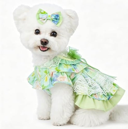 Spring Dog Dress, Floral Princess Dog Dress, Multi-Layer Ruffle Skirt with Soft Mesh & Lace Fabric, Girl Dog Clothes for Holiday, Birthday, Wedding, Party, Photoshoot (XS) by Unknown