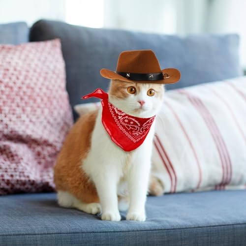 Eorbow 4 Pack Pet Cowboy Costume Accessories Set, 2 Pcs Cowboy Hat and 2 Pcs Bandana Scarf, Puppy Kitten Halloween Christmas Costume, West Cowboy Accessories Party Cosplay Wearing for Cats Small Dogs - Image 7