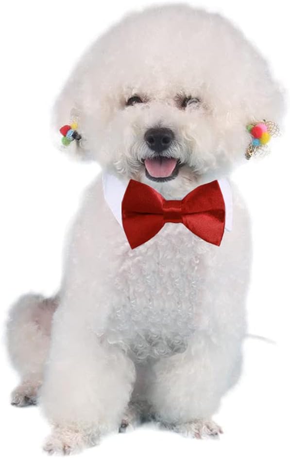 4 Pieces Pets Dog Cat Bowtie Pet Costume Adjustable Formal Necktie Collar for Cats Small Dogs Puppy Grooming Accessories (red/Green)