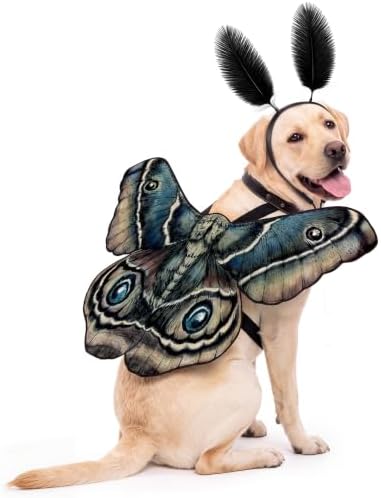 Tallew 2 Pcs Dog Halloween Costumes Moth Butterfly,L,Tan by Tallew