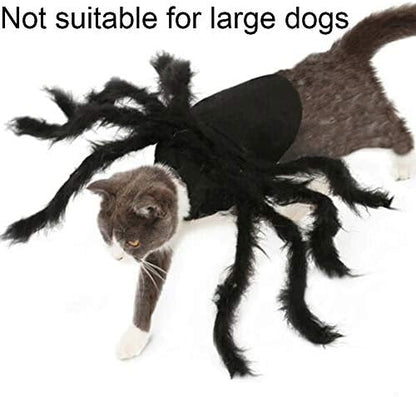 Dog Cat Spider Costume for Halloween Party Decoration, Halloween Cosplay Costumes for Small Dogs and Cat, Puppy Dress Up Accessories - Image 3