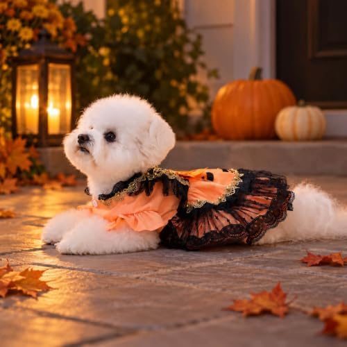 Halloween Dog Dress for Small Dogs Girl, Gothic Pumpkin Princess Puppy Costume with Orange Black Lace Mesh Skirt, Cute Halloween Pet Outfit for Photos(XXL) - Image 6