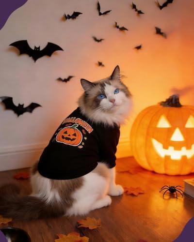 Pet Halloween T-Shirt Dog Costumes, Breathable Clothes Stretchable Shirt for Puupy or Kitten.(Orange Medium) - Image 2