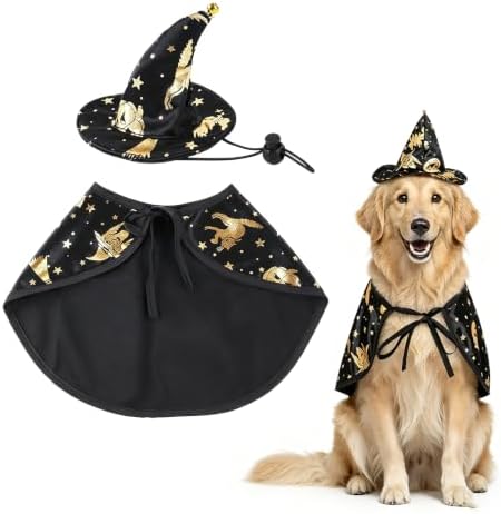 Dog Witch Costume, Large Dog Halloween Costumes by Unknown