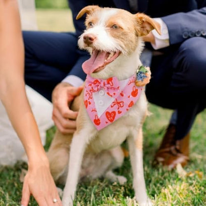 FUAMEY Dog Tuxedo for Small Dogs Valentines Bandana with Bowtie Wedding Tux - Image 3