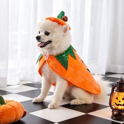 Yoption Halloween Dog Pumpkin Costumes with Hat for Dogs Cats, Small - Image 5