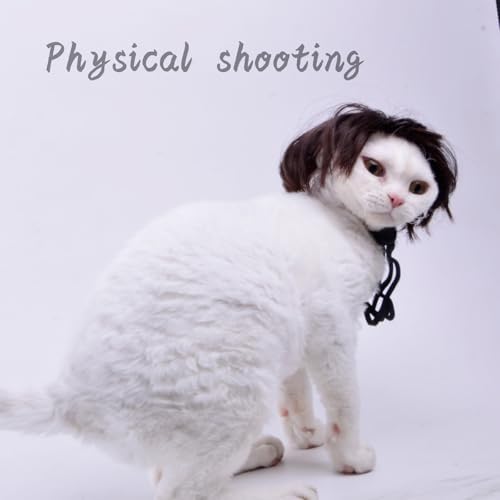Cat Costume for cat only Mini cat bob Wig for Kitty or Porch Goose - Image 2