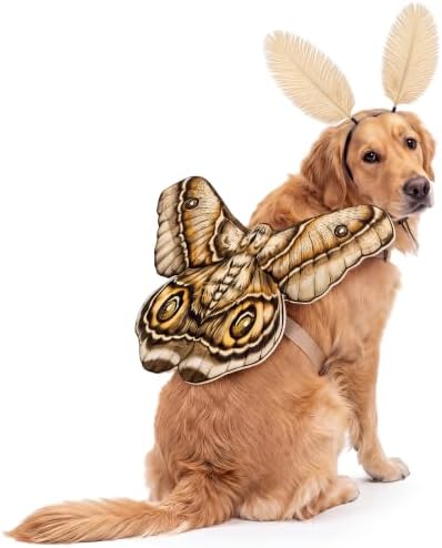 Tallew 2 Pcs Dog Halloween Costumes Moth Butterfly Wings,M,Grayish White by Tallew