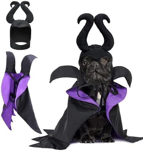 Witch Costume - Dog & Cat Halloween Cloak & Hat with Devil Horns & Vampire Teeth - Small & Medium Sizes by LyssKMK