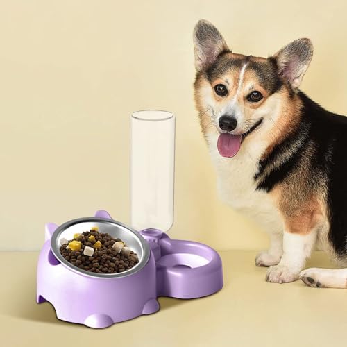 Automatic Cat Dog Bowls with Water Dispenser - 15° Tilted Stainless Steel Food & Water Bowl Set, Detachable Leakproof Pet Feeder for Small Medium Pets, Non-Slip Easy Clean Design (PL)
