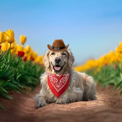 Dog Halloween Costumes - Cowboy Hat & Bandana for Small to Large Dogs - Image 7