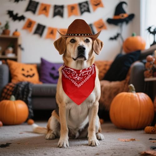 choyaxo Halloween Costumes for Dogs Cat Pet Cowboy Costume Cowboy Hat with Bandana Set for Halloween, Christmas, Holiday, Party, Cosplay (Brown, Large) - Image 5
